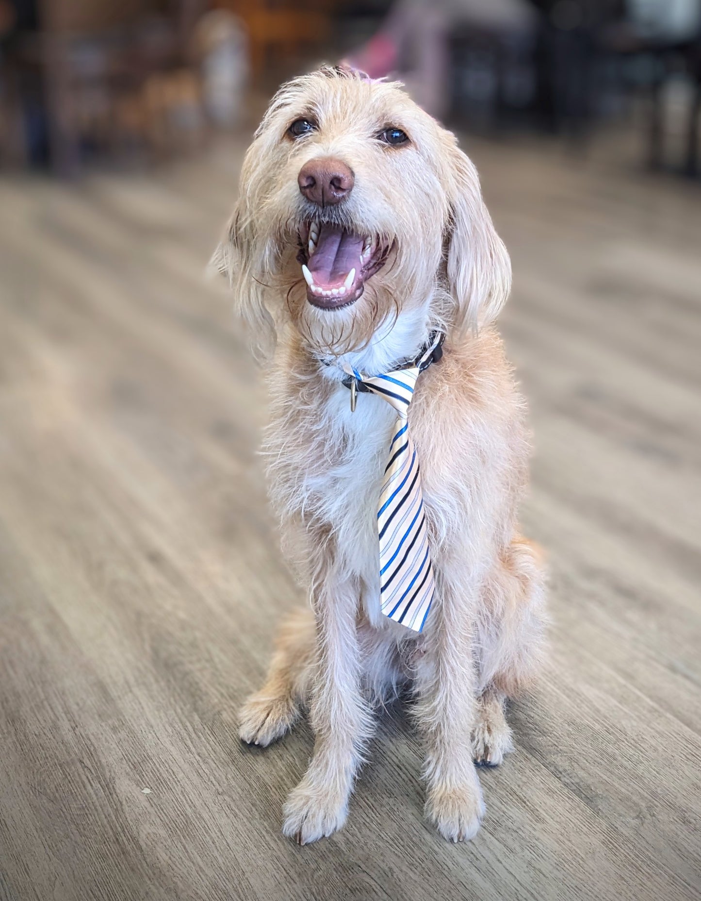 Nintendo Patented 3.0inch