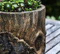 Jardinière tronc