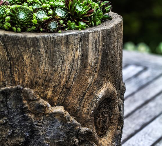 Trunk Planter